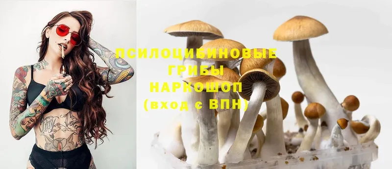 как найти наркотики  Электроугли  Псилоцибиновые грибы Psilocybine cubensis 